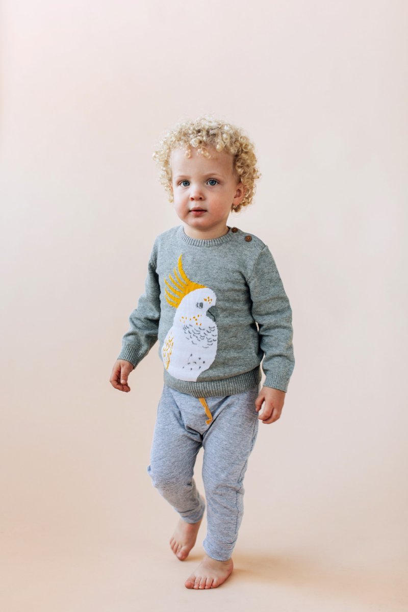 Angus The Cockatoo Knit Sweater